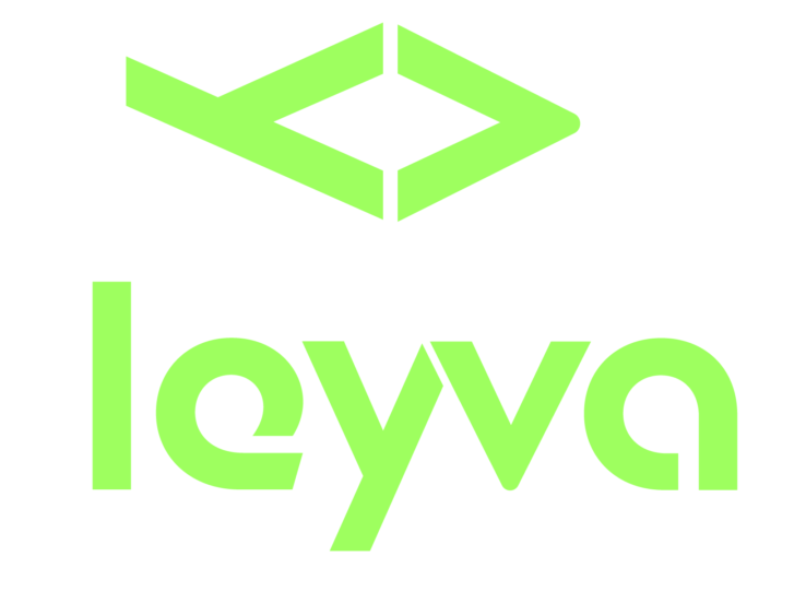 LEYVA-V2-EDITABLE-ENTREGA_Mesa-de-trabajo-1-copia-2-scaled-e1771476730407