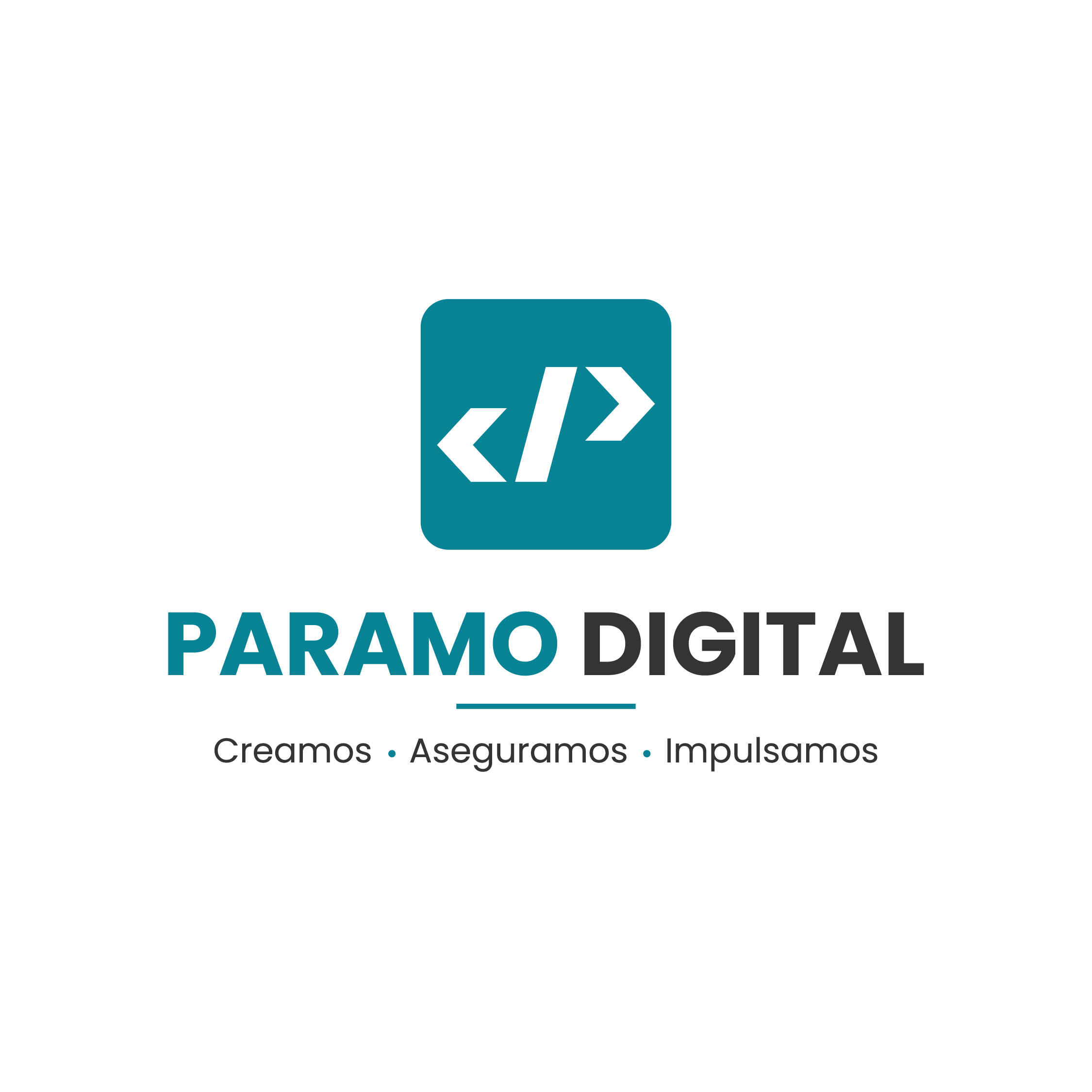 LOGOTIPO PARAMO DIGITAL_Mesa de trabajo 1.jpg